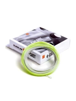 Guideline 4-Cast WF-F