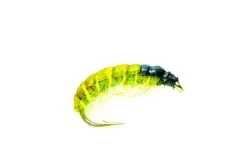 Czech Nymph Olive
