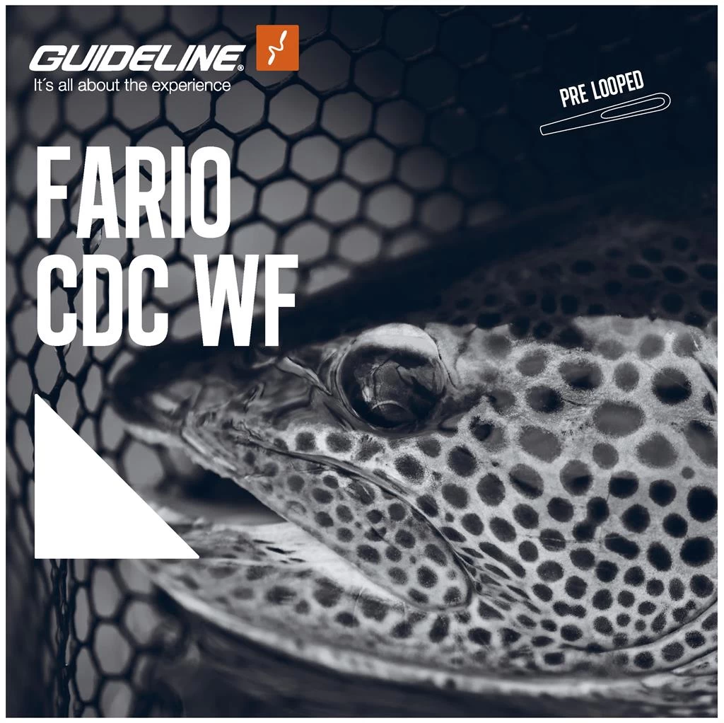 Fario CDC WF Fliegenschnur – Bild 3