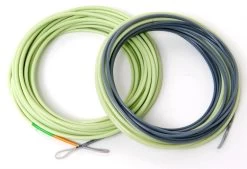 Guideline 4D Compact Body