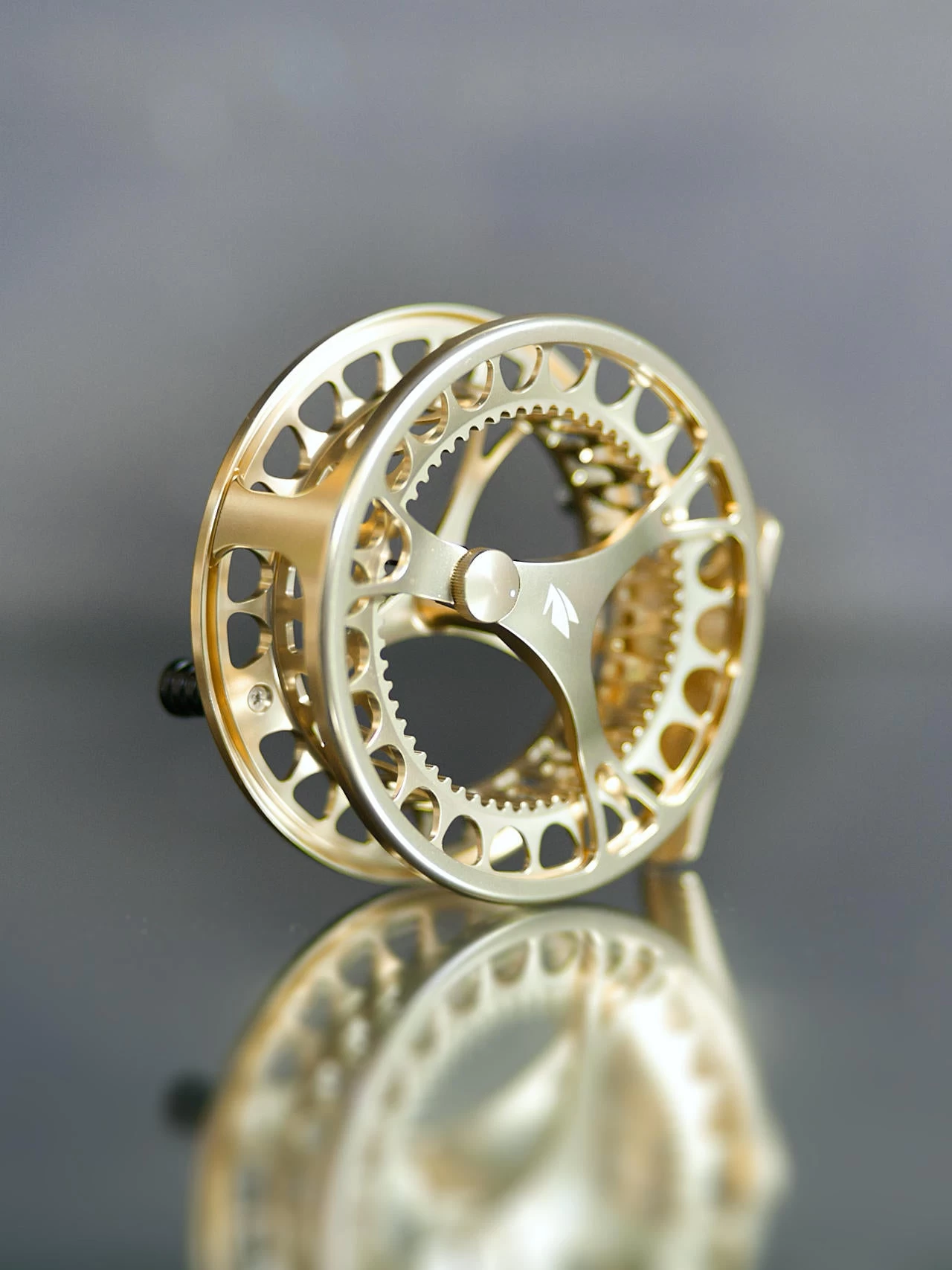 Sage Click Fliegenrolle Gold – Bild 4