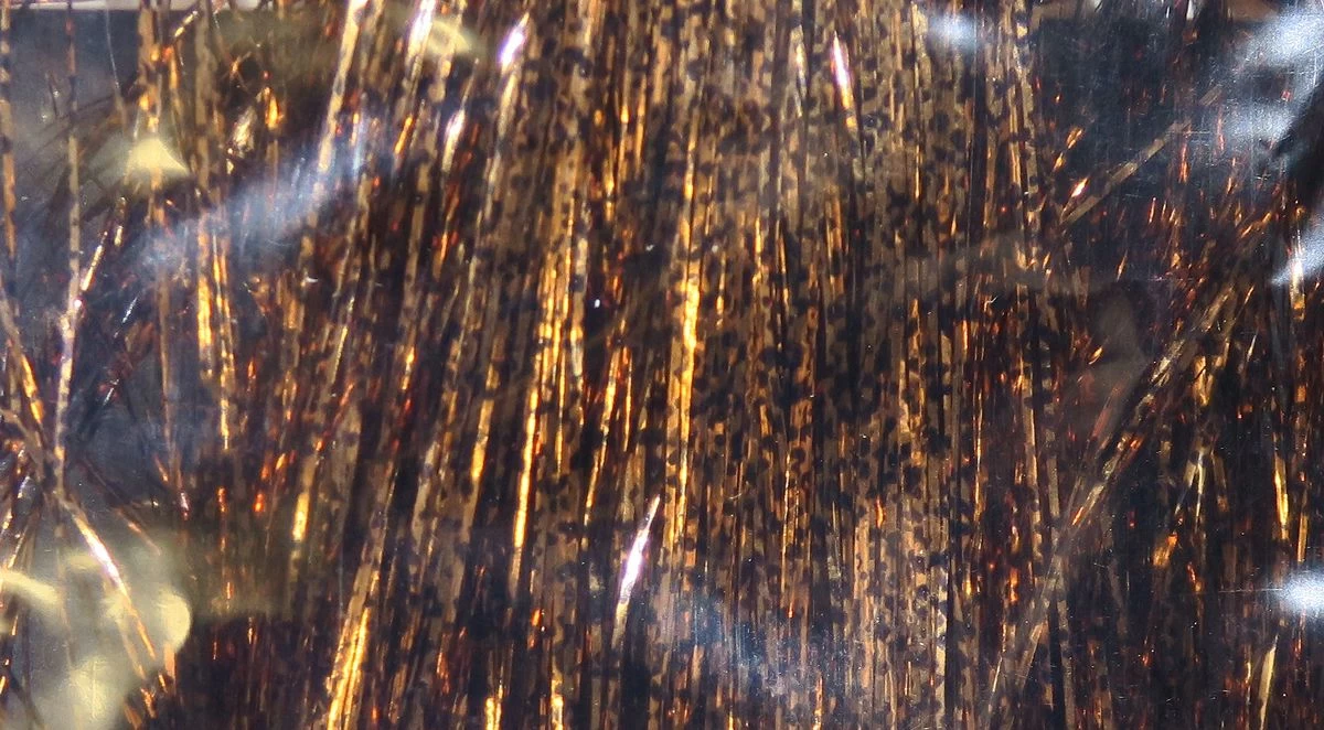 Flashabou – Bild 19